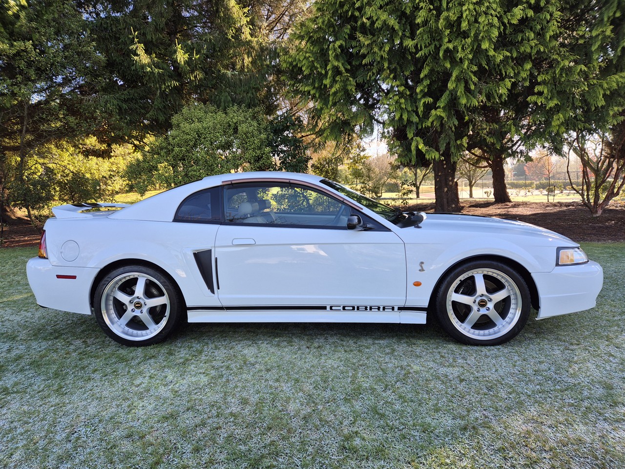 1999 FORD MUSTANG