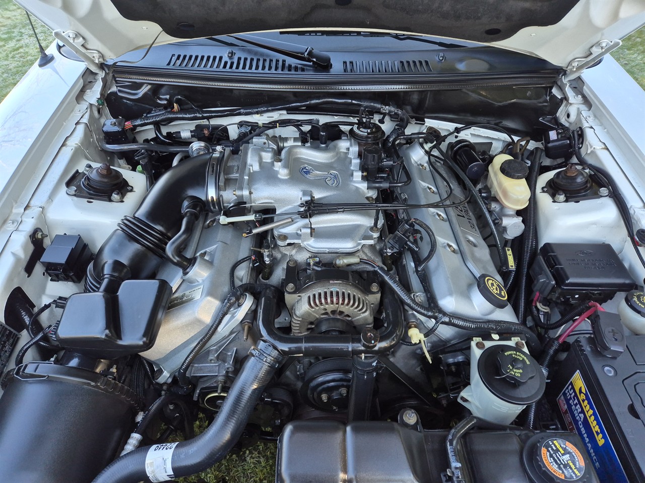1999 FORD MUSTANG