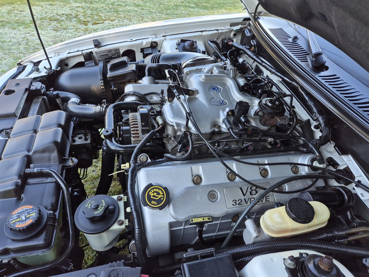 1999 FORD MUSTANG