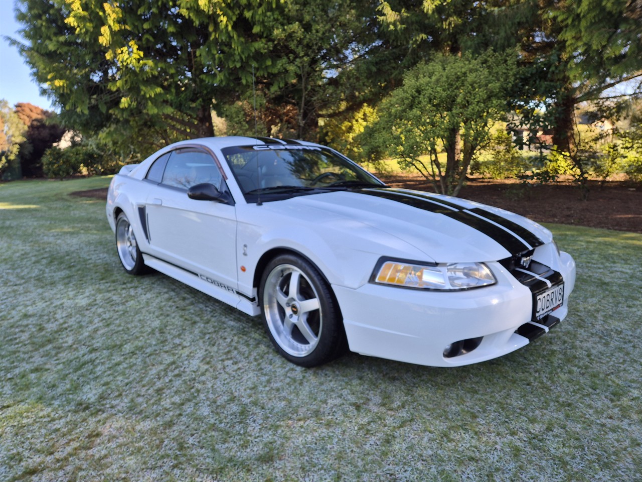 1999 FORD MUSTANG