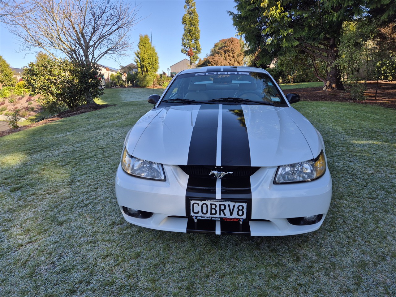 1999 FORD MUSTANG