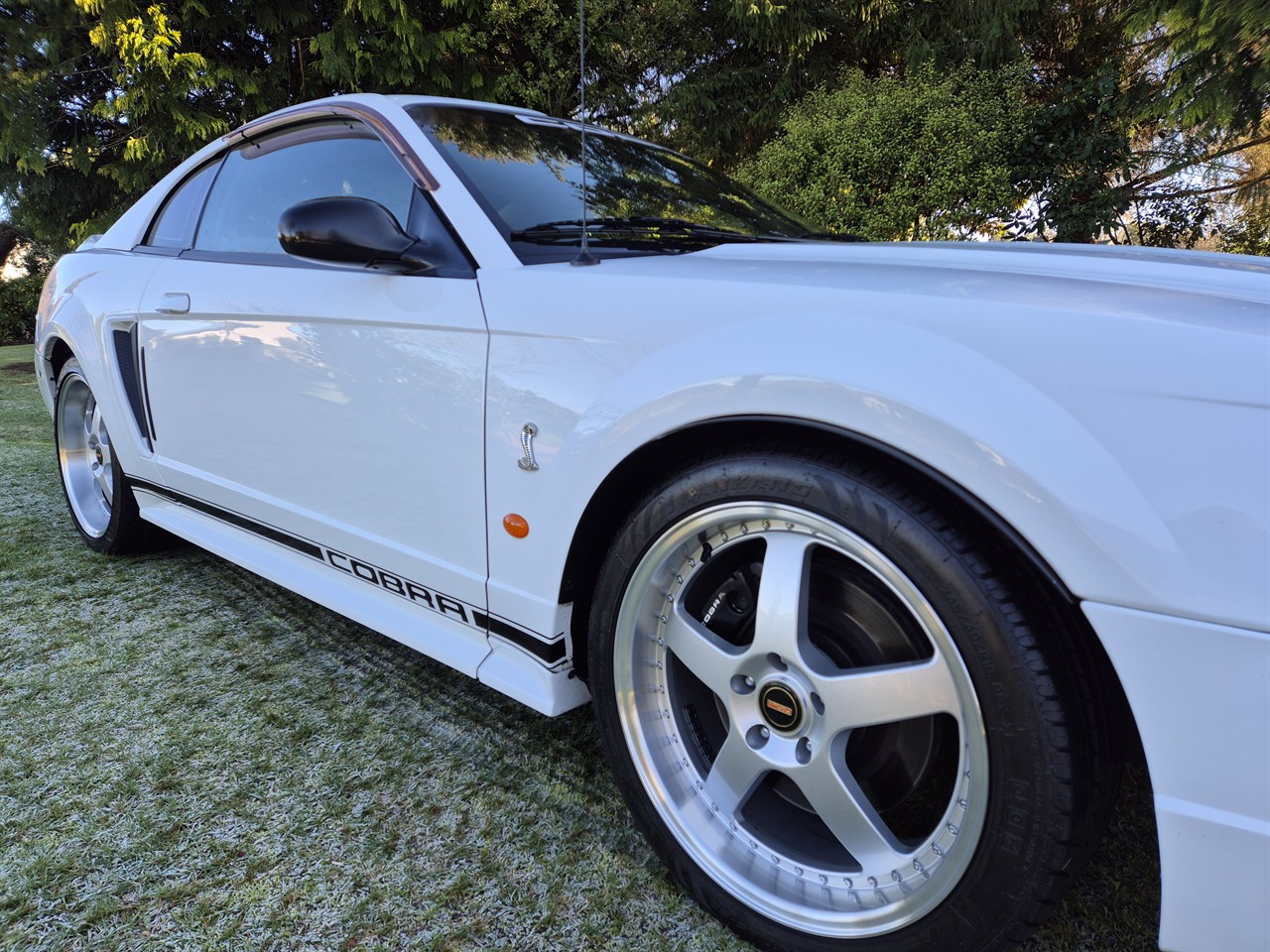 1999 FORD MUSTANG