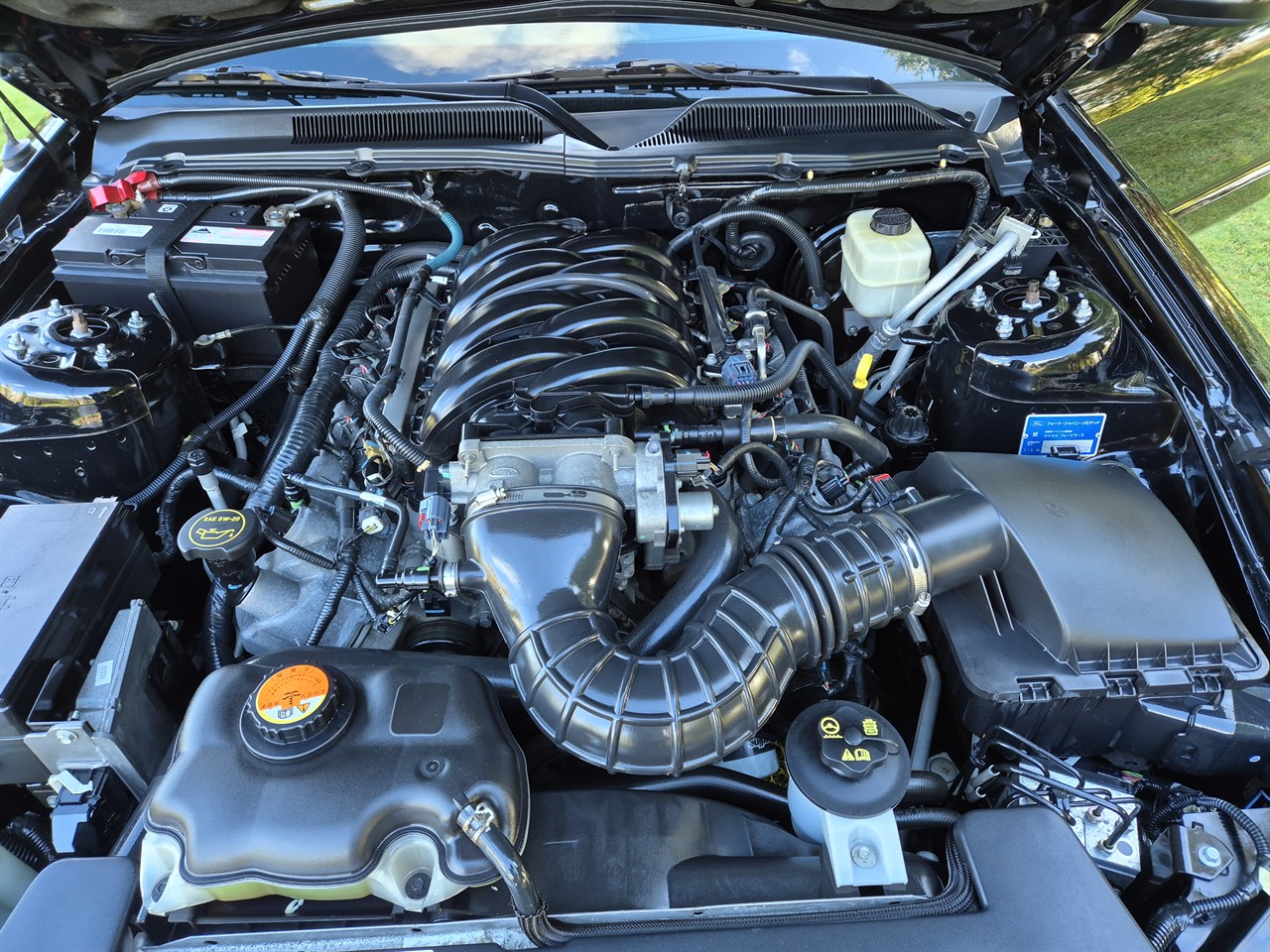 2008 FORD MUSTANG