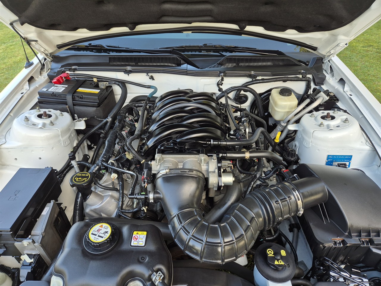 2007 FORD MUSTANG