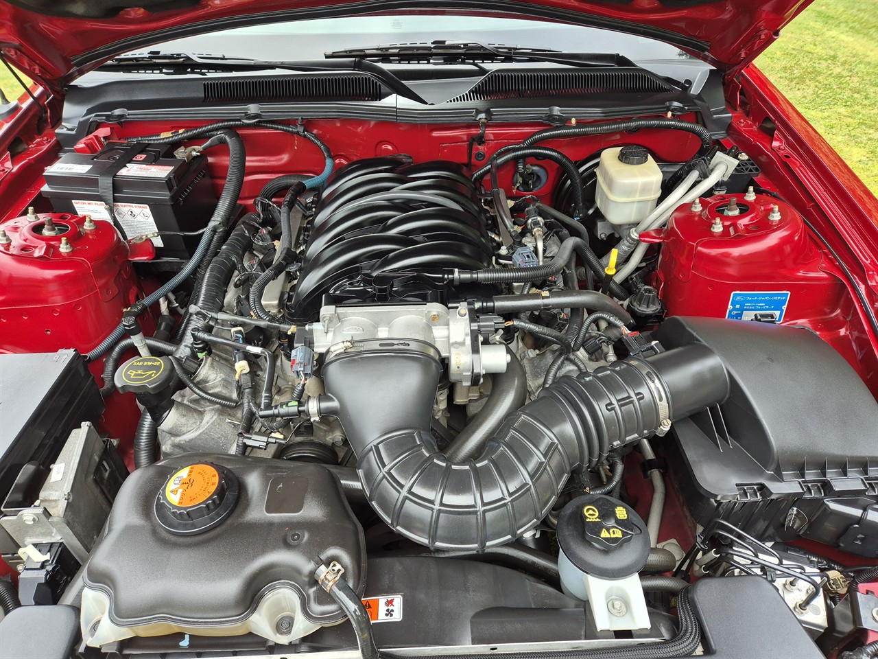2009 FORD MUSTANG