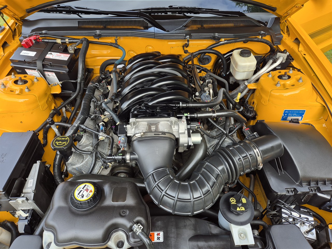 2008 FORD MUSTANG