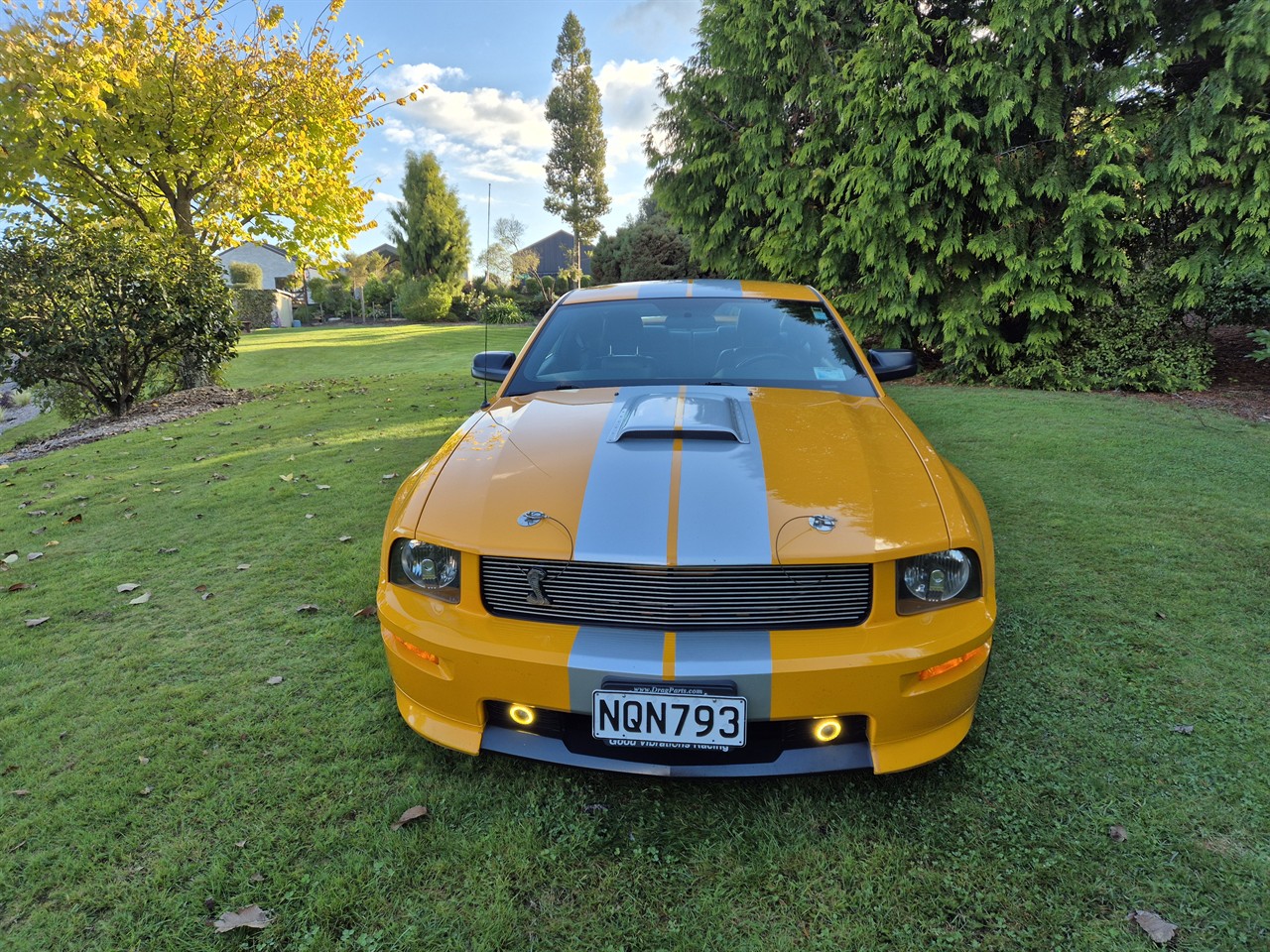 2008 FORD MUSTANG