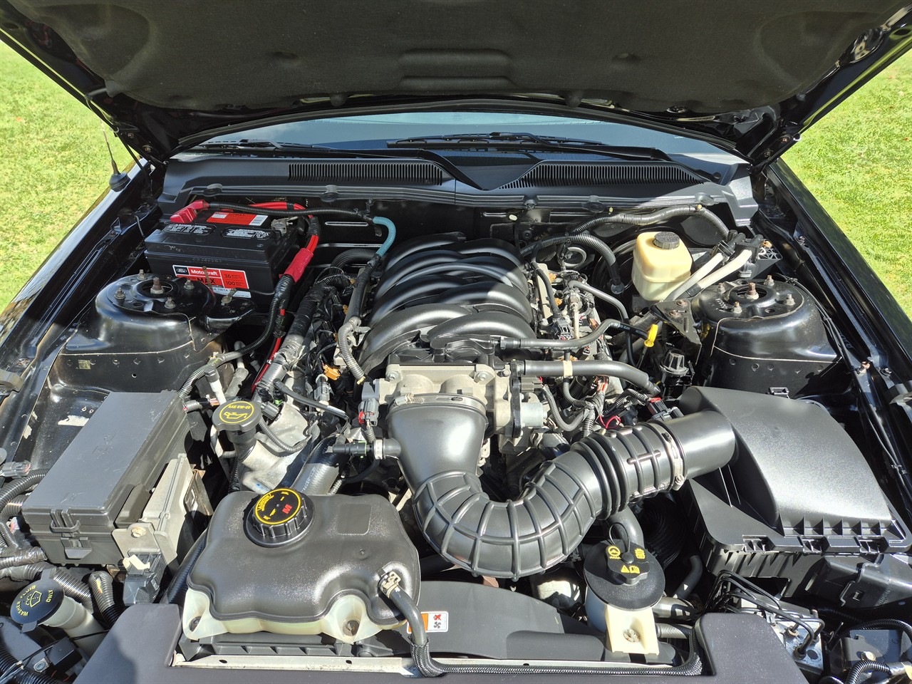 2005 FORD MUSTANG