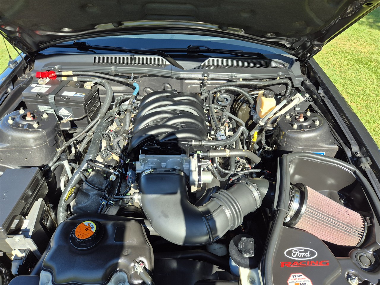 2009 FORD MUSTANG