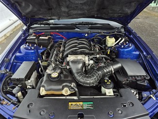 2005 FORD MUSTANG - Thumbnail